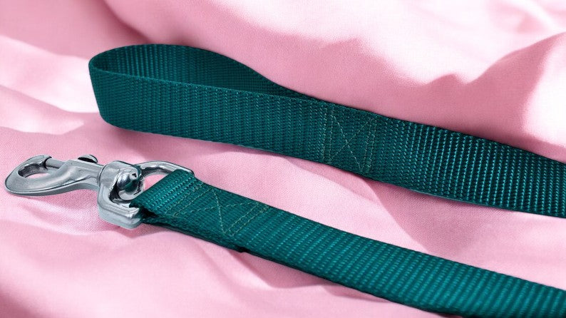 GUINZAGLIO RETRIEVER NYLON