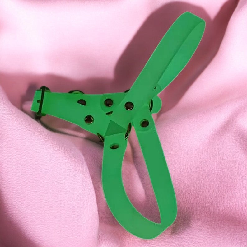 PETTORINA BIOTHANE REA FLUO