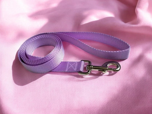 GUINZAGLIO RETRIEVER NYLON